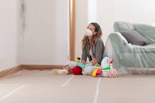 Reliable Mold Cleanup contractor in Sugar Land, TX by Cheap Mold Removal
